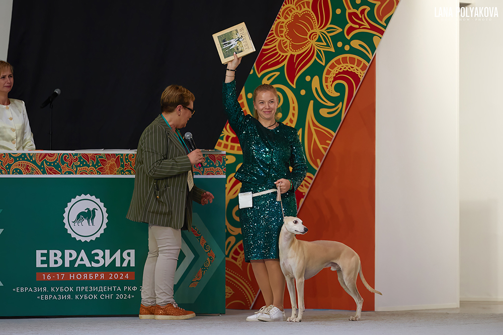 LP__9273_web evrasi 24